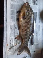 20260701_104113.webp