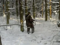 26012011077.webp