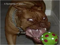 Рисунок3.webp