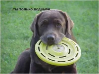 Рисунок14.webp