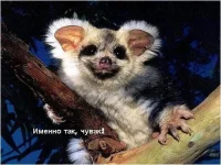 Рисунок27.webp