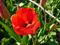 DSC00032.webp