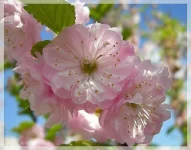 0a0841ee8140b5b6638c0cfec59ef979.webp
