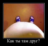 друган.webp