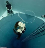 фри3.webp