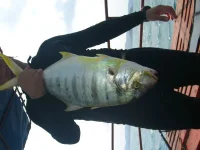 0012.webp