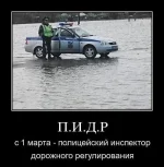 post_20.webp