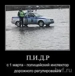 post_20.webp