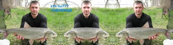 2011-02-10_162233.webp