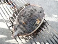 010.webp