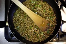 1295547103_mealworms_09.webp