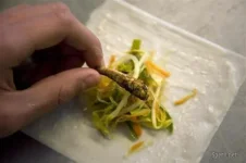 1295547103_mealworms_12.webp