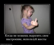 572234.webp