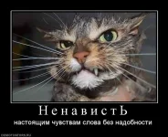 412414.webp