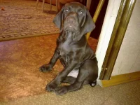 05022011141.webp