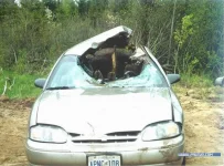 moose003.webp
