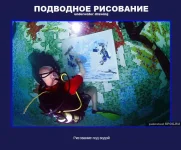 12.webp