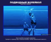 14.webp