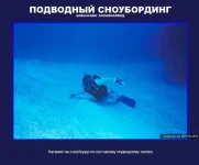 16.webp