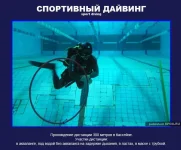 22.webp