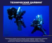 24.webp