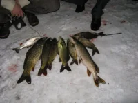 IMG_124311.webp