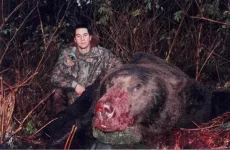 2Tedbear1.webp