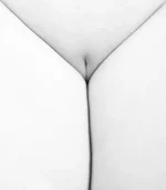 бокал мартини.webp