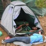 1958554.webp
