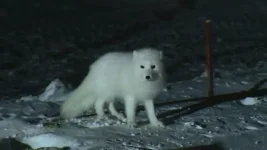 20100209005401(2).webp