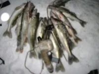 IMG_0501111.webp