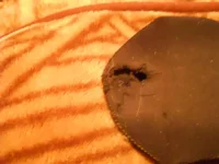 DSCN0239.webp