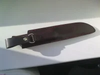 4468462.webp