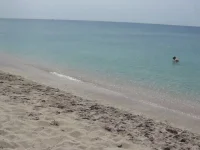 бел1.webp