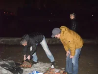 DSCN0314.webp