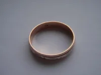 P4110025.webp