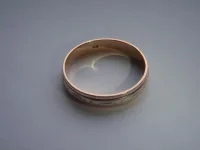 P4110027.webp