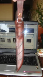 DSC01933.webp
