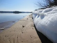 x_0b994118.webp
