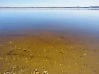 x_c9c44c55.webp