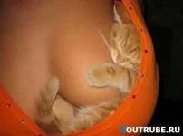 1212122114_8.webp