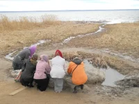 DSCN0452.webp
