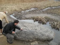 DSCN0454.webp