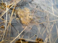DSCN0460.webp