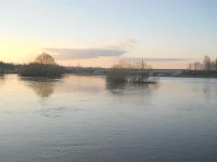 DSCN0479.webp