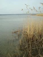 DSC02344.webp