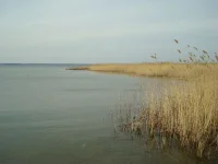 DSC02352.webp