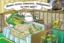 4.webp