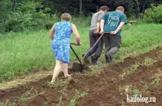 дача5.webp