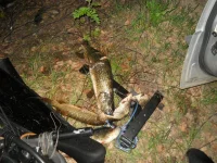 DSCN0518.webp